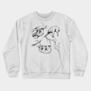 Sketches of a Sloth Crewneck Sweatshirt